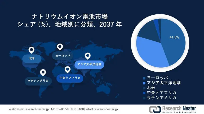 Sodium-Ion Battery Market Survey